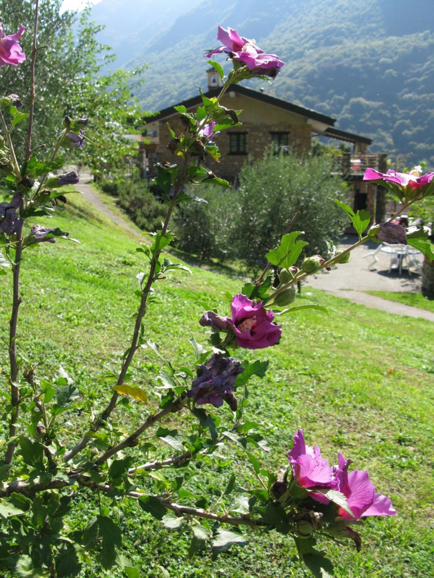 Chalet Della Rota マローネ エクステリア 写真